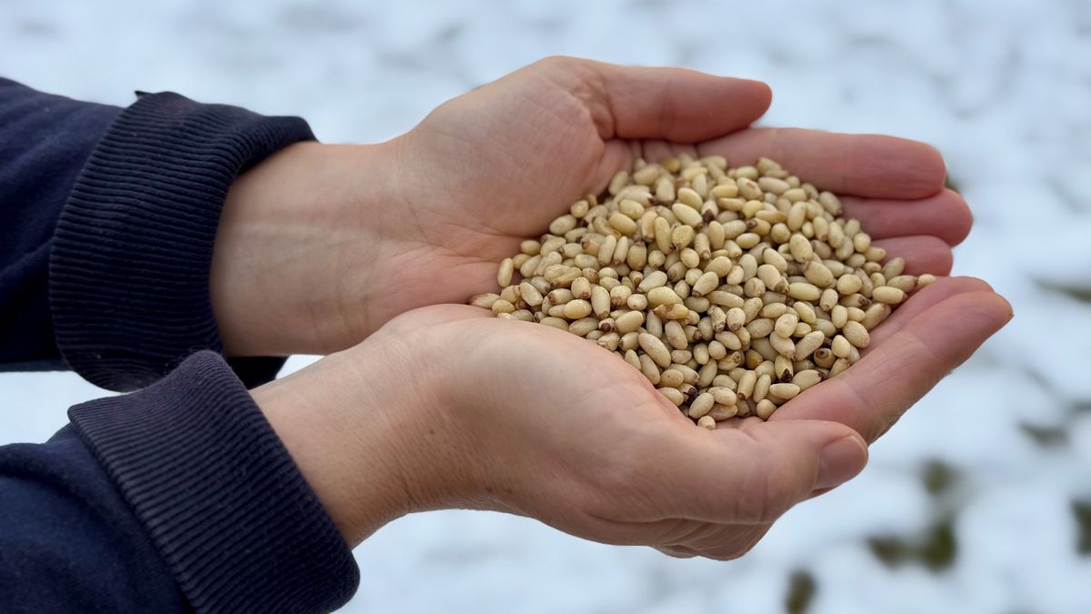 Vzpomínka na dovolenou z minuty na minutu zhořkla, nezbývá než čekat